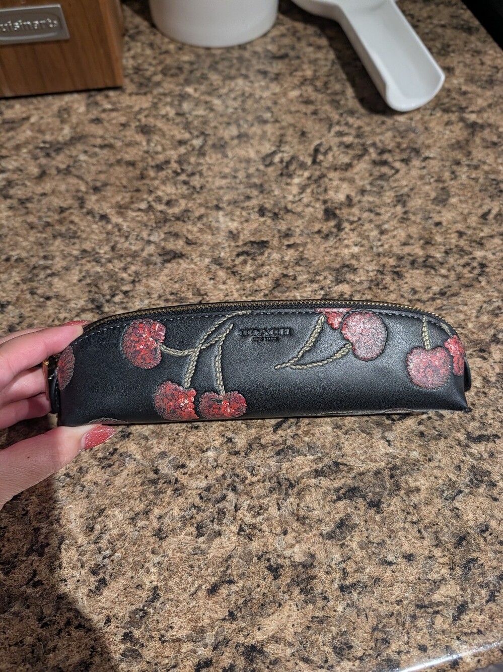 Coach Cherry Print Pencil Case